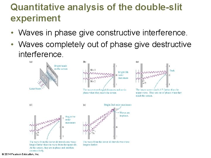 Quantitative analysis of the double-slit experiment • Waves in phase give constructive interference. •