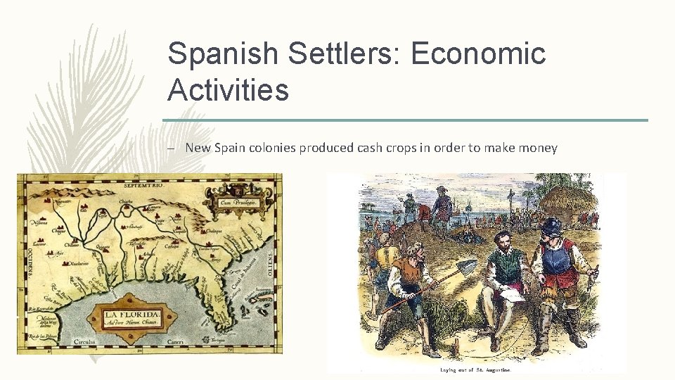 Spanish Settlers: Economic Activities – New Spain colonies produced cash crops in order to