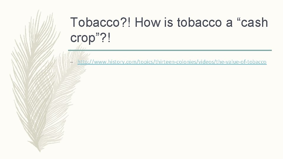 Tobacco? ! How is tobacco a “cash crop”? ! – http: //www. history. com/topics/thirteen-colonies/videos/the-value-of-tobacco