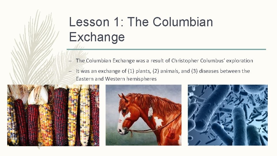 Lesson 1: The Columbian Exchange – The Columbian Exchange was a result of Christopher