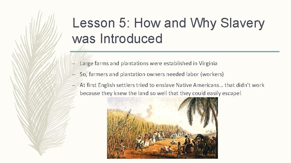 Lesson 5: How and Why Slavery was Introduced – Large farms and plantations were