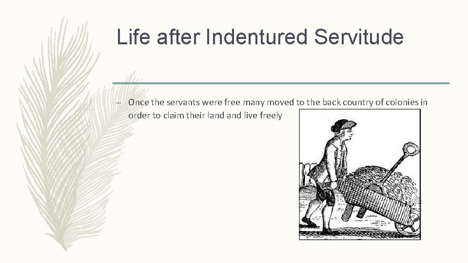 Life after Indentured Servitude – Once the servants were free many moved to the