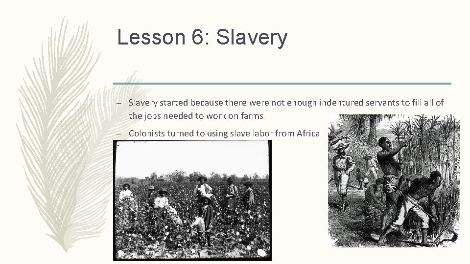 Lesson 6: Slavery – Slavery started because there were not enough indentured servants to