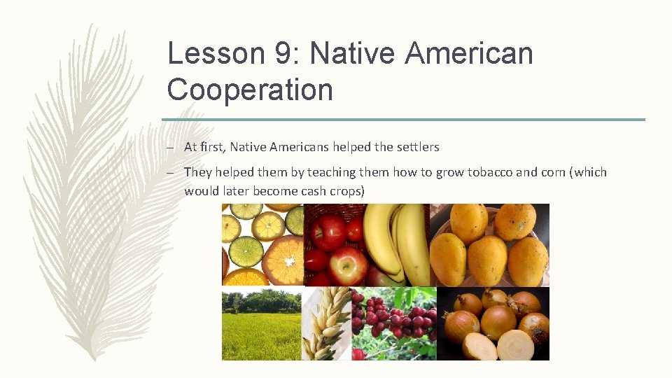 Lesson 9: Native American Cooperation – At first, Native Americans helped the settlers –