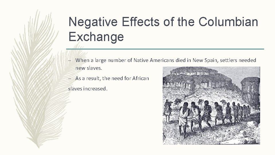 Negative Effects of the Columbian Exchange – When a large number of Native Americans