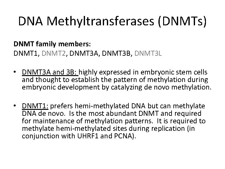 DNA Methyltransferases (DNMTs) DNMT family members: DNMT 1, DNMT 2, DNMT 3 A, DNMT