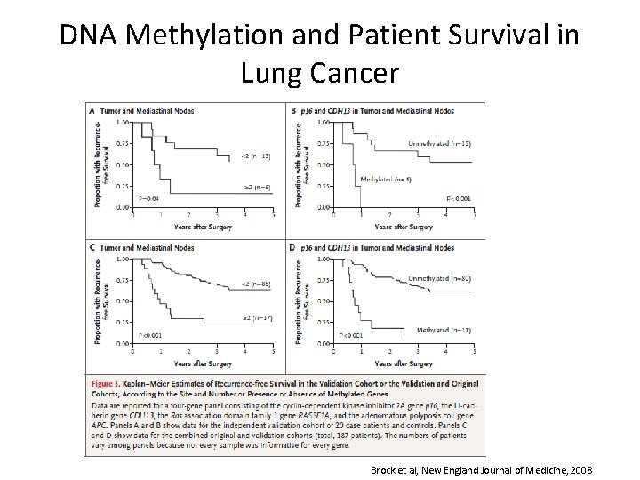 DNA Methylation and Patient Survival in Lung Cancer Brock et al, New England Journal
