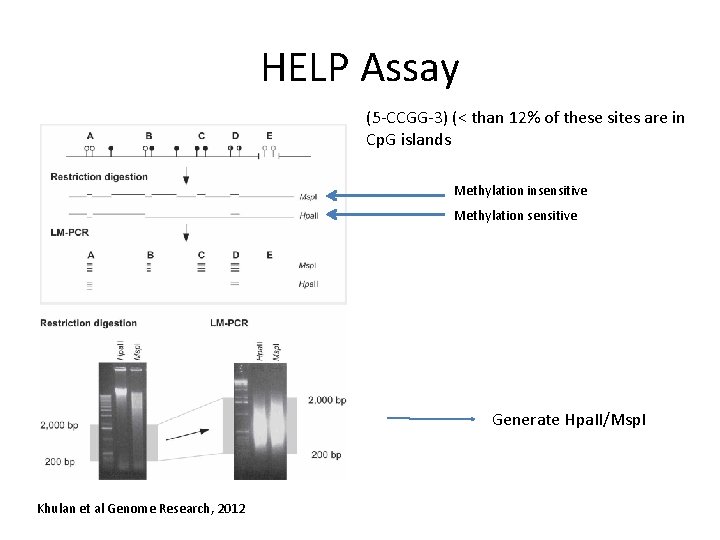 HELP Assay (5 -CCGG-3) (< than 12% of these sites are in Cp. G
