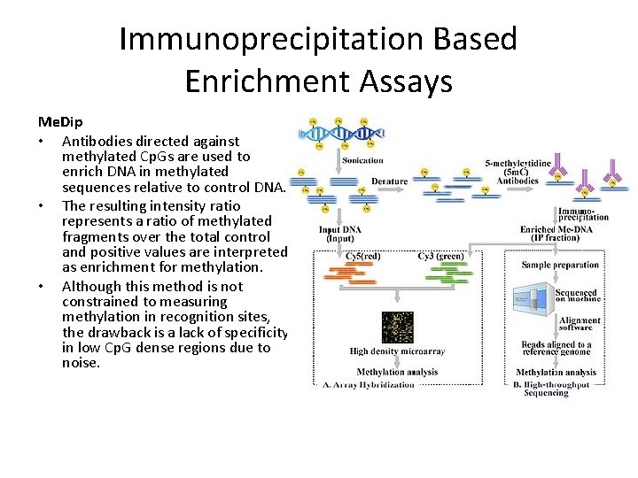 Immunoprecipitation Based Enrichment Assays Me. Dip • Antibodies directed against methylated Cp. Gs are