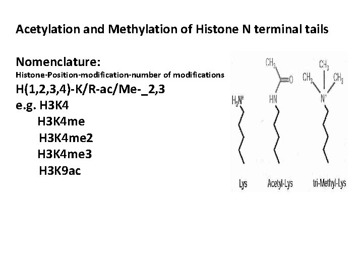 Acetylation and Methylation of Histone N terminal tails Nomenclature: Histone-Position-modification-number of modifications H(1, 2,