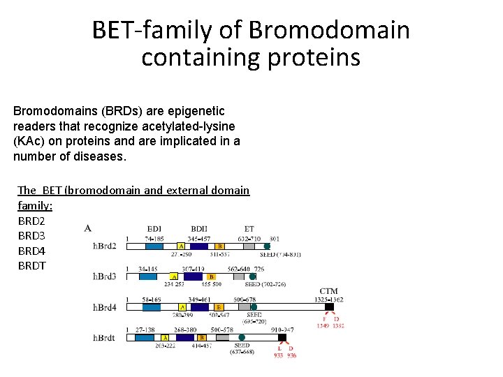 BET-family of Bromodomain containing proteins Bromodomains (BRDs) are epigenetic readers that recognize acetylated-lysine (KAc)