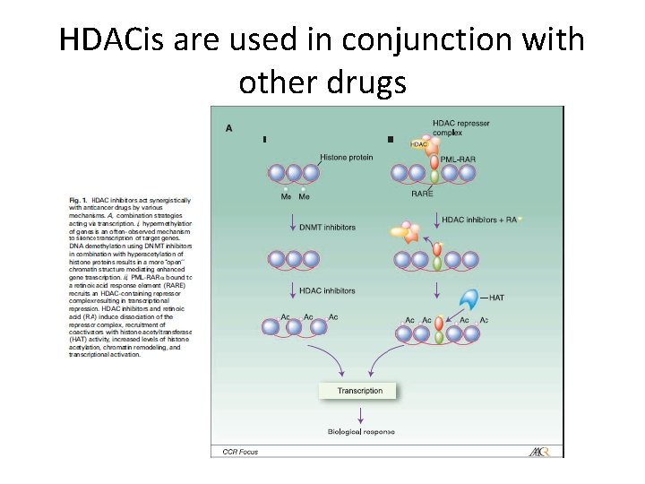 HDACis are used in conjunction with other drugs 