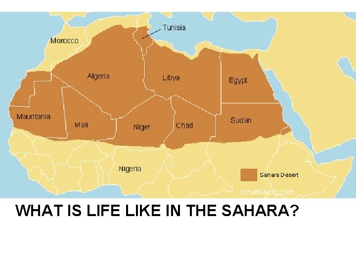 WHAT IS LIFE LIKE IN THE SAHARA? 