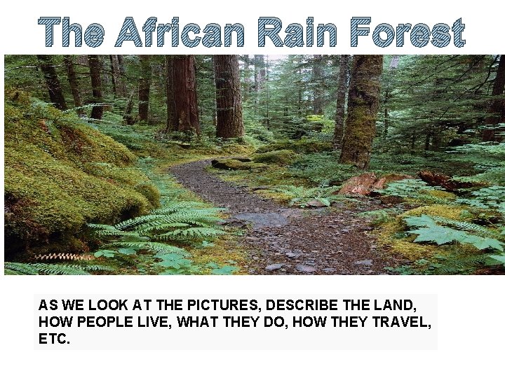 The African Rain Forest AS WE LOOK AT THE PICTURES, DESCRIBE THE LAND, HOW