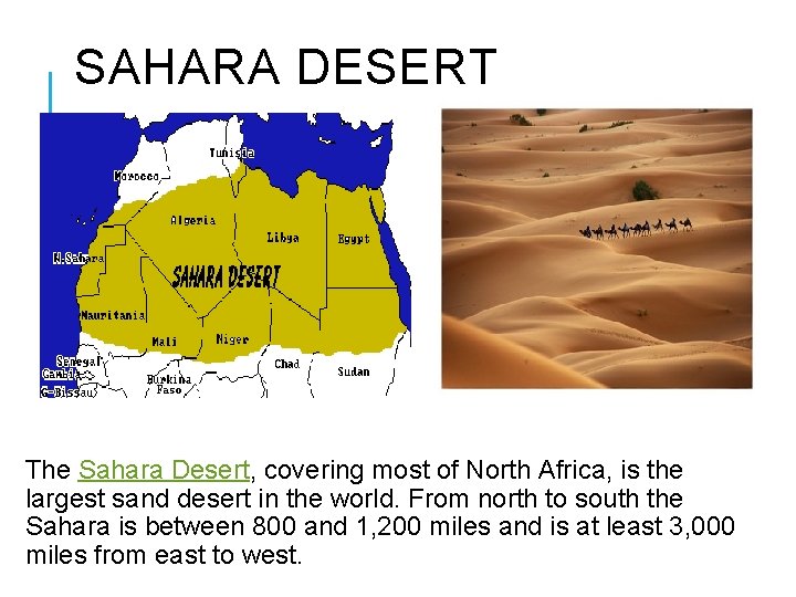 SAHARA DESERT BACK The Sahara Desert, covering most of North Africa, is the largest