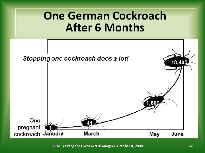 One German Cockroach After 6 Months IPM Training for Owners & Managers, October 8,