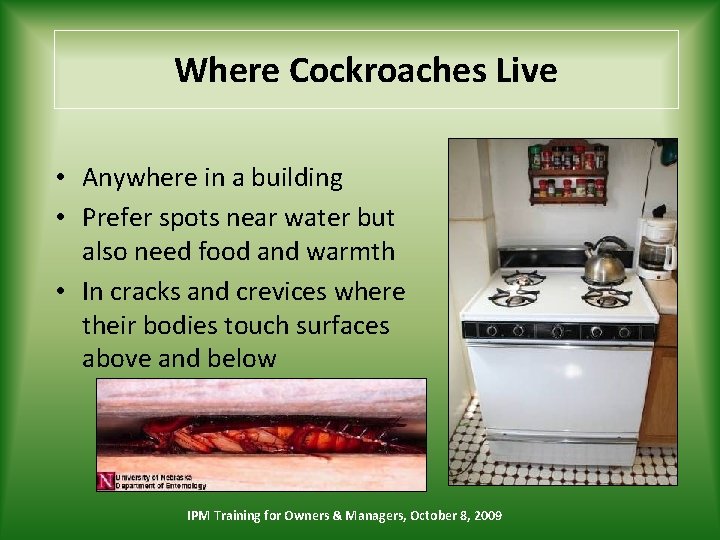 Where Cockroaches Live • Anywhere in a building • Prefer spots near water but