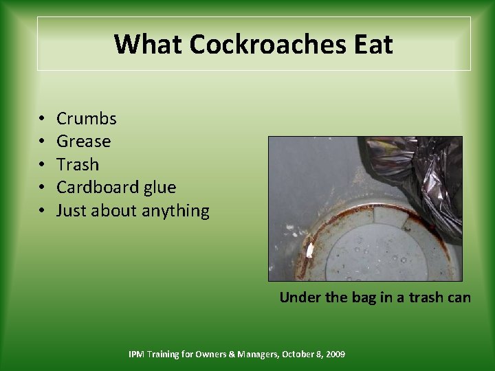 What Cockroaches Eat • • • Crumbs Grease Trash Cardboard glue Just about anything