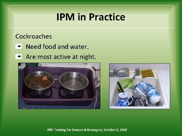 IPM in Practice Cockroaches Need food and water. Are most active at night. IPM