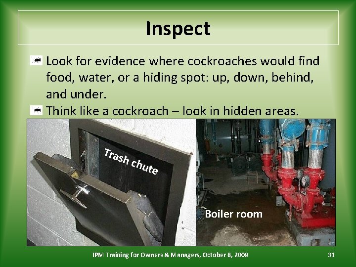 Inspect Look for evidence where cockroaches would find food, water, or a hiding spot:
