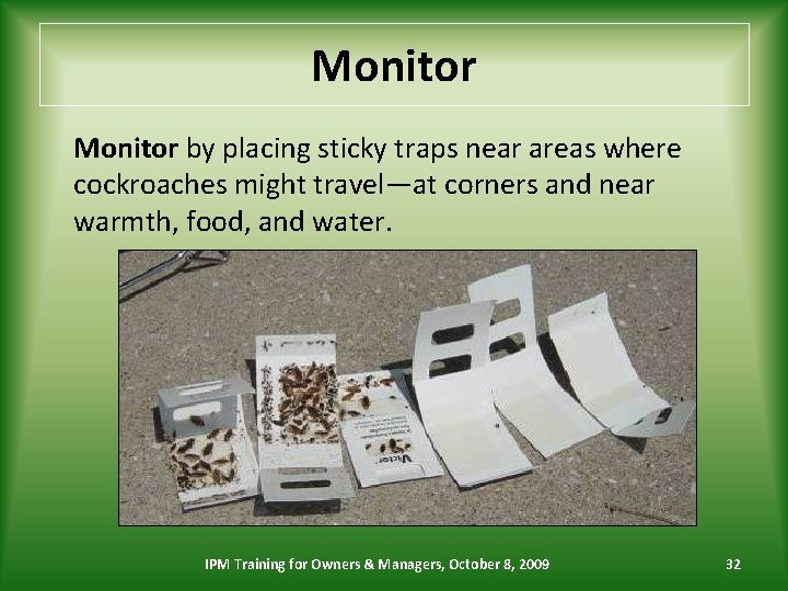 Monitor by placing sticky traps near areas where cockroaches might travel—at corners and near