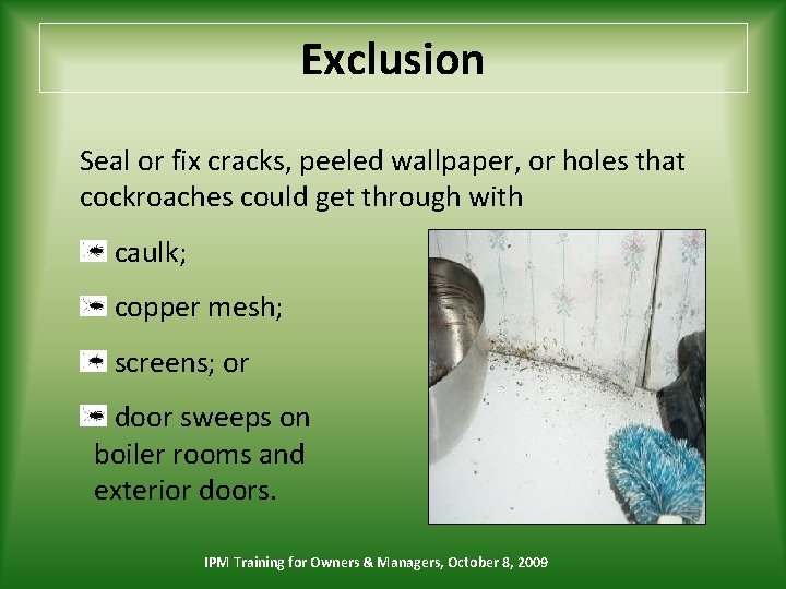 Exclusion Seal or fix cracks, peeled wallpaper, or holes that cockroaches could get through