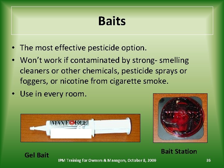 Baits • The most effective pesticide option. • Won’t work if contaminated by strong-