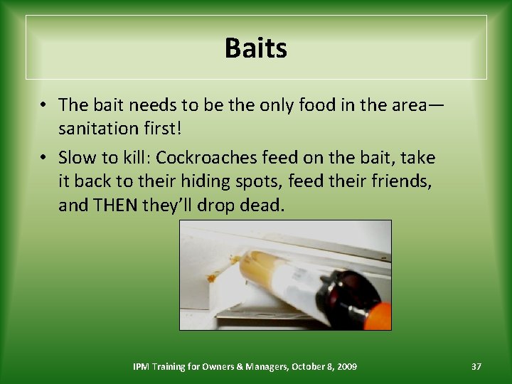 Baits • The bait needs to be the only food in the area— sanitation