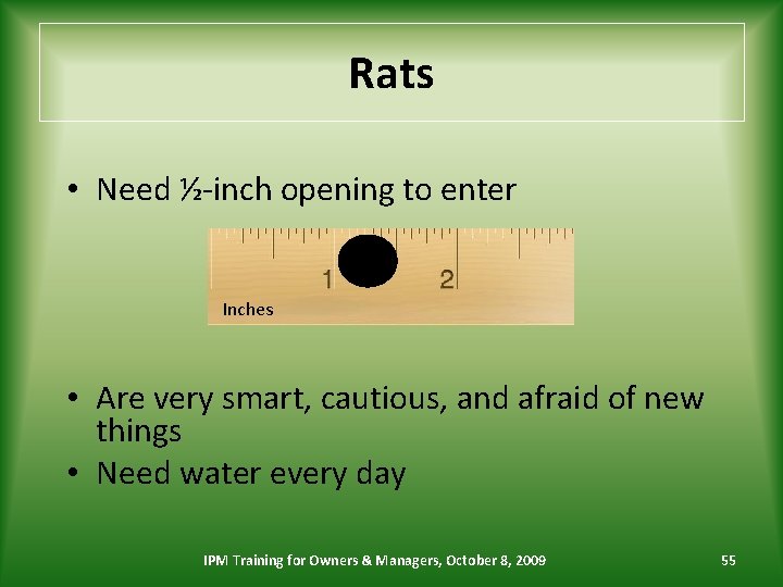 Rats • Need ½-inch opening to enter Inches • Are very smart, cautious, and