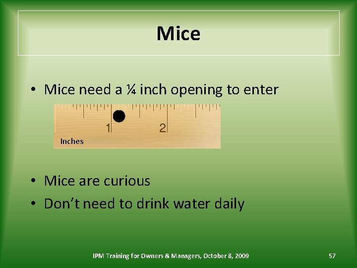 Mice • Mice need a ¼ inch opening to enter Inches • Mice are