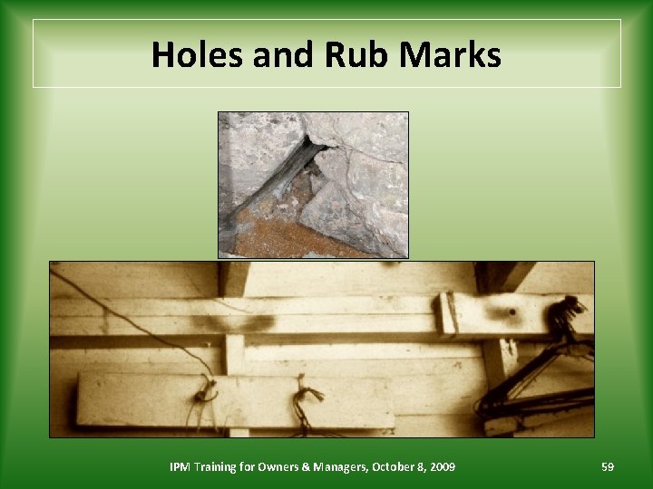 Holes and Rub Marks IPM Training for Owners & Managers, October 8, 2009 59