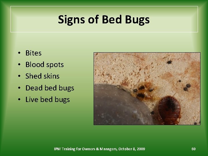 Signs of Bed Bugs • • • Bites Blood spots Shed skins Dead bed