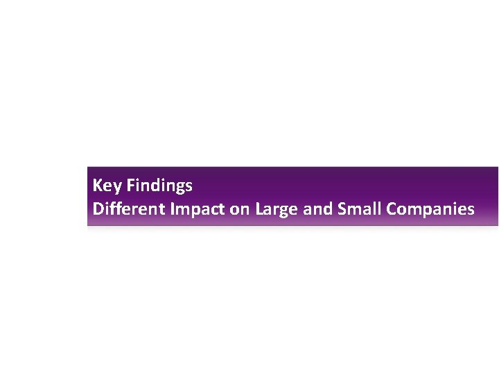 Key Findings Different Impact on Large and Small Companies 