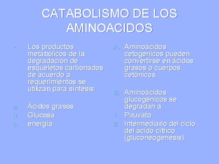 CATABOLISMO DE LOS AMINOACIDOS • a. b. c. Los productos metabólicos de la degradación