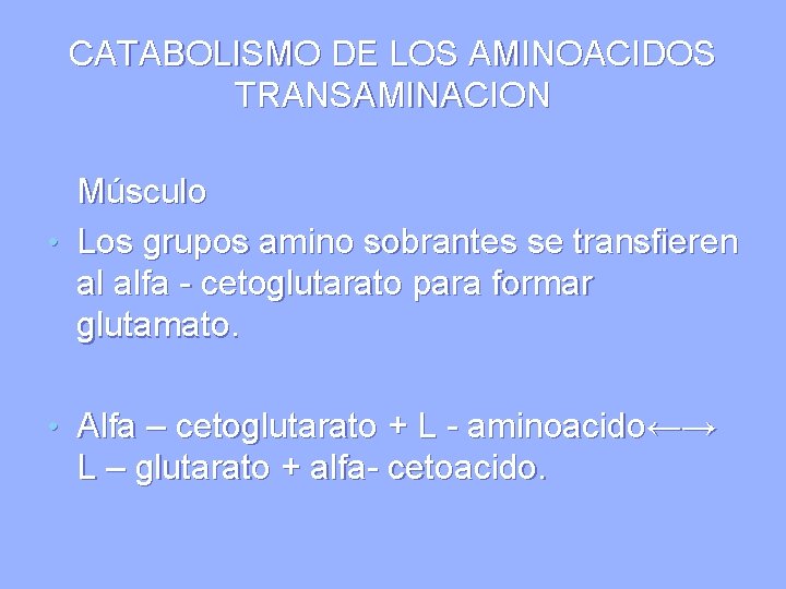CATABOLISMO DE LOS AMINOACIDOS TRANSAMINACION Músculo • Los grupos amino sobrantes se transfieren al