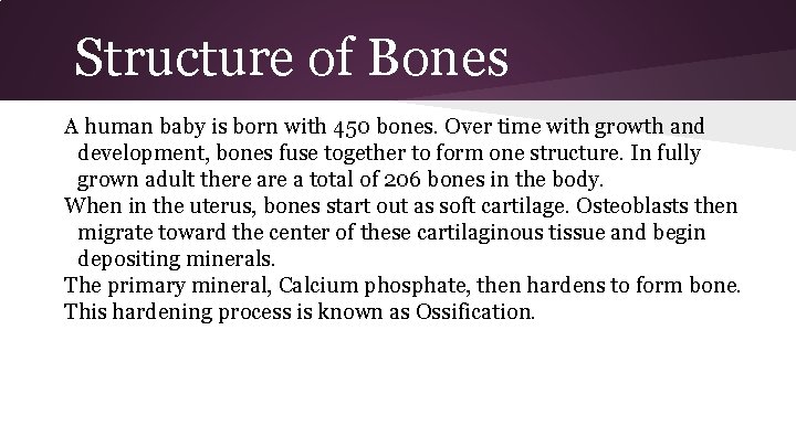 Structure of Bones A human baby is born with 450 bones. Over time with