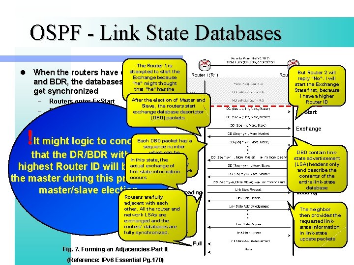 OSPF - Link State Databases The Router 1 is attempted to start the Exchange