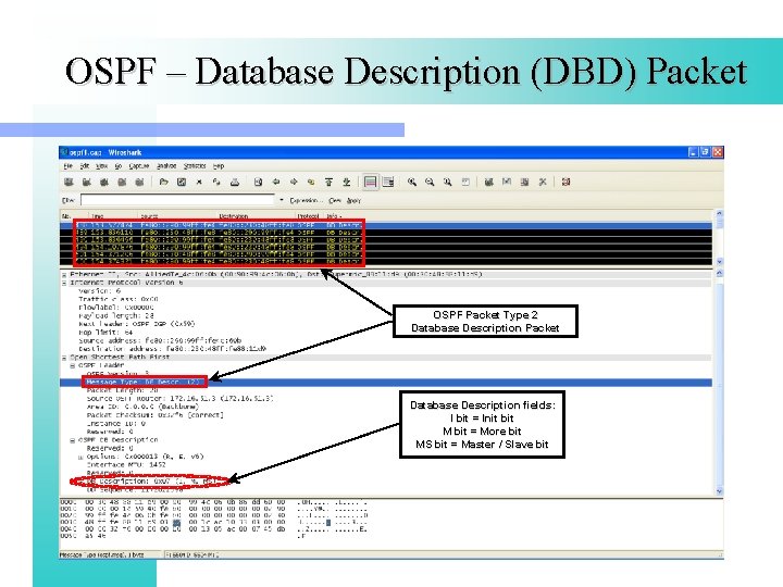 OSPF – Database Description (DBD) Packet OSPF Packet Type 2 Database Description Packet Database