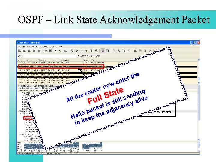 OSPF – Link State Acknowledgement Packet the r e ent ow n r e