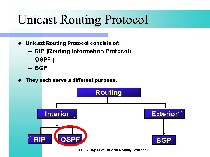 Unicast Routing Protocol l Unicast Routing Protocol consists of: – RIP (Routing Information Protocol)