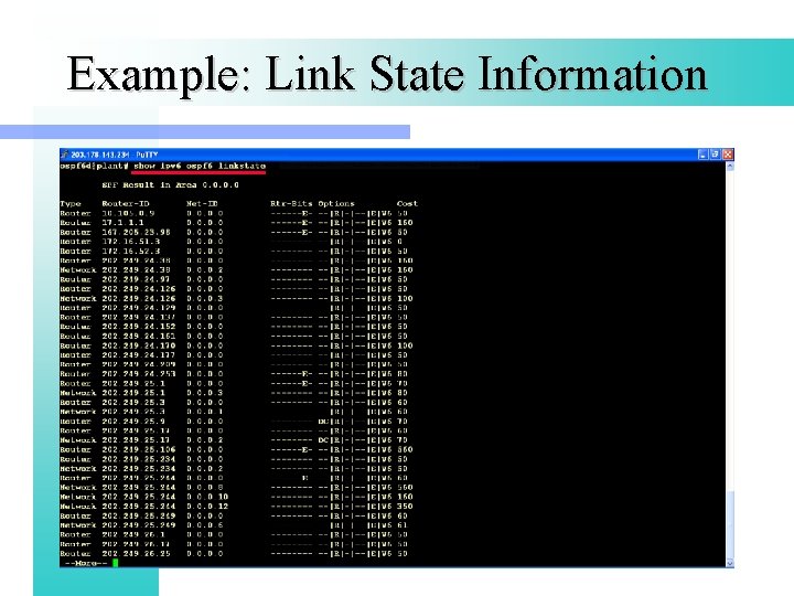 Example: Link State Information 