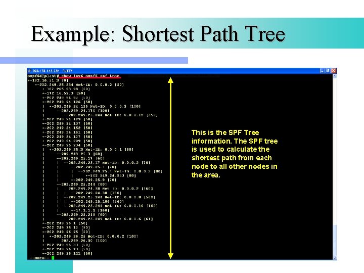 Example: Shortest Path Tree This is the SPF Tree information. The SPF tree is