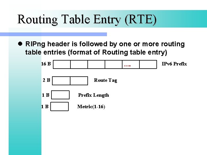 Routing Table Entry (RTE) l RIPng header is followed by one or more routing