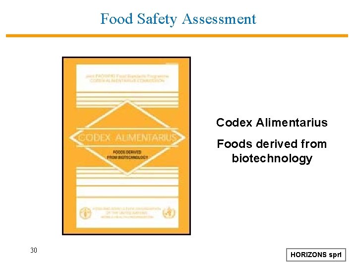 Food Safety Assessment Codex Alimentarius Foods derived from biotechnology 30 HORIZONS sprl 