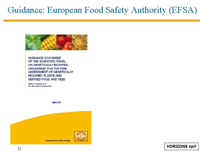 Guidance: European Food Safety Authority (EFSA) 31 HORIZONS sprl 