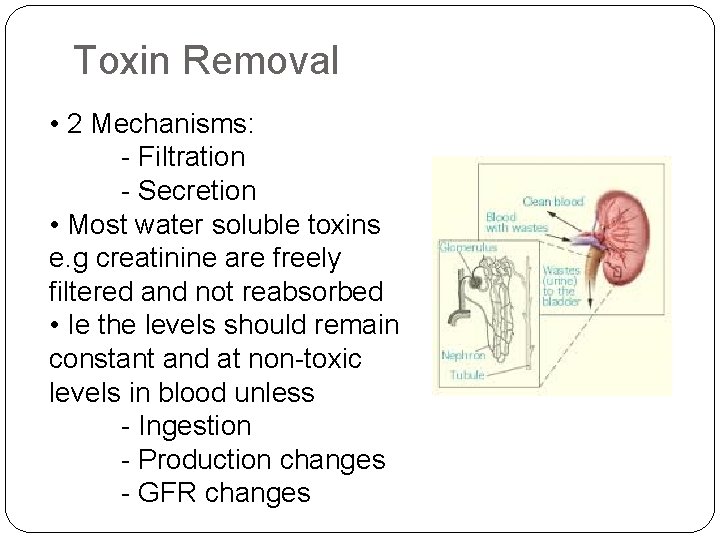 Toxin Removal • 2 Mechanisms: - Filtration - Secretion • Most water soluble toxins