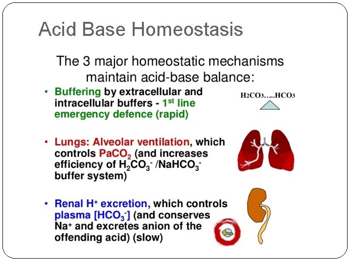 Acid Base Homeostasis 