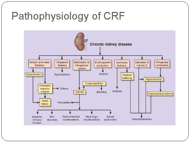 Pathophysiology of CRF 