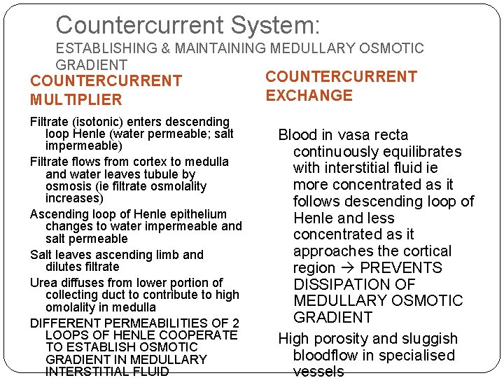 Countercurrent System: ESTABLISHING & MAINTAINING MEDULLARY OSMOTIC GRADIENT COUNTERCURRENT MULTIPLIER Filtrate (isotonic) enters descending