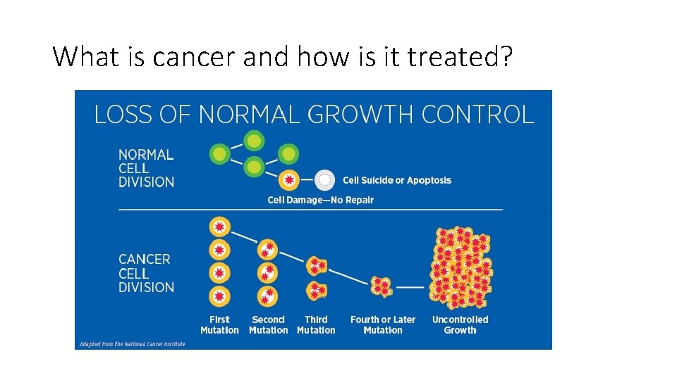 What is cancer and how is it treated? 